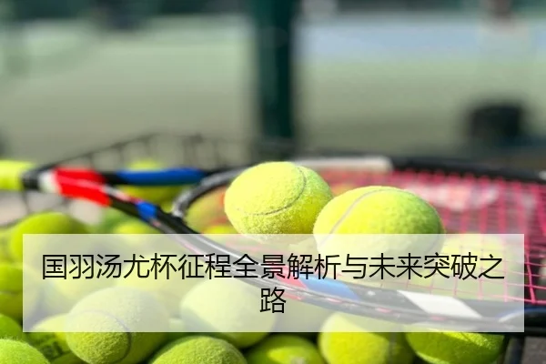 国羽汤尤杯征程全景解析与未来突破之路