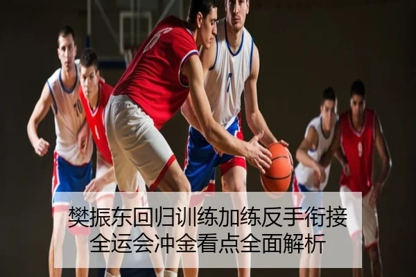 樊振东回归训练加练反手衔接 全运会冲金看点全面解析