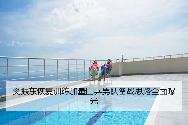 樊振东恢复训练加量国乒男队备战思路全面曝光